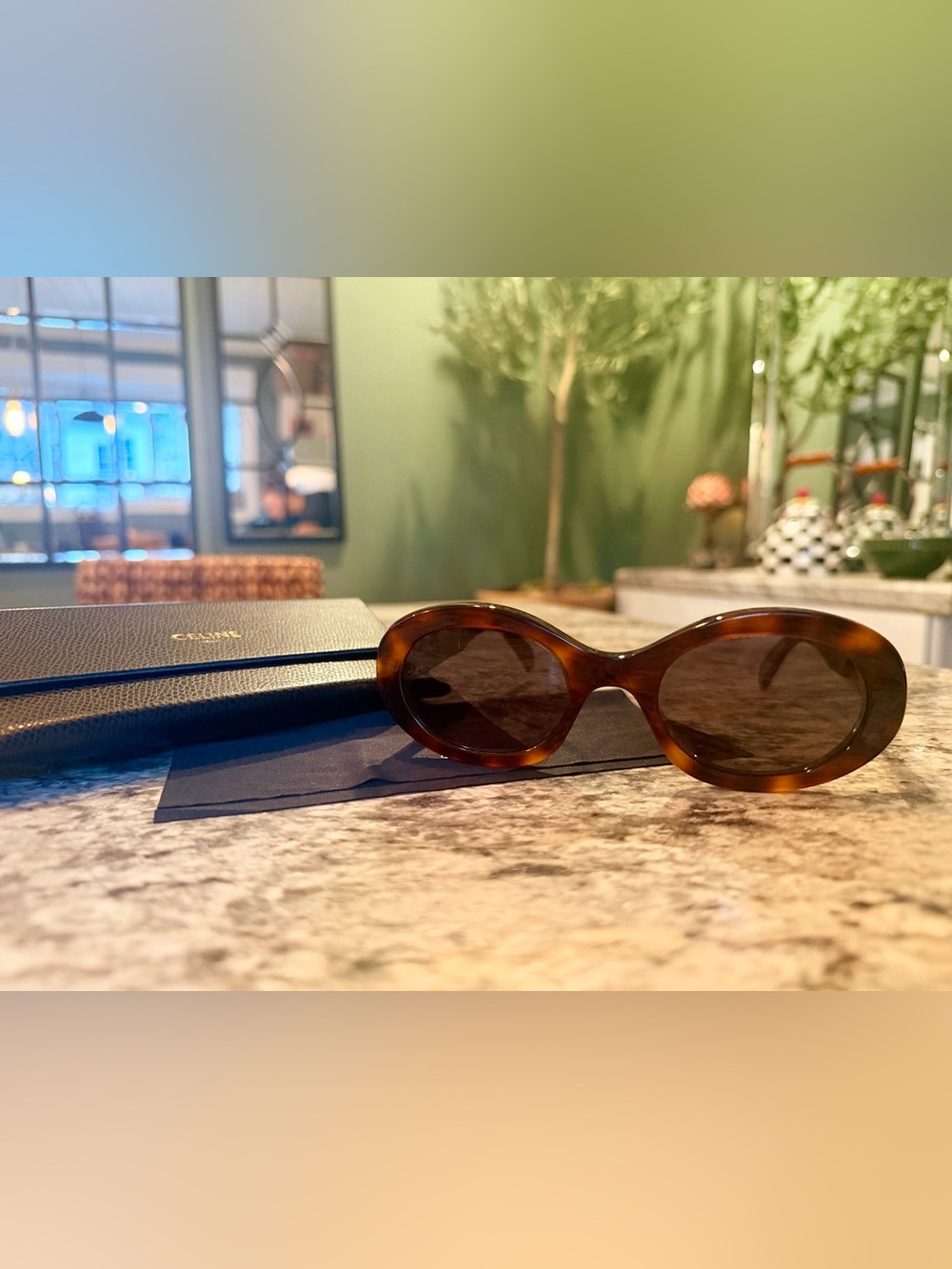 Celine TRIOMPHE CL40194U Sunglasses